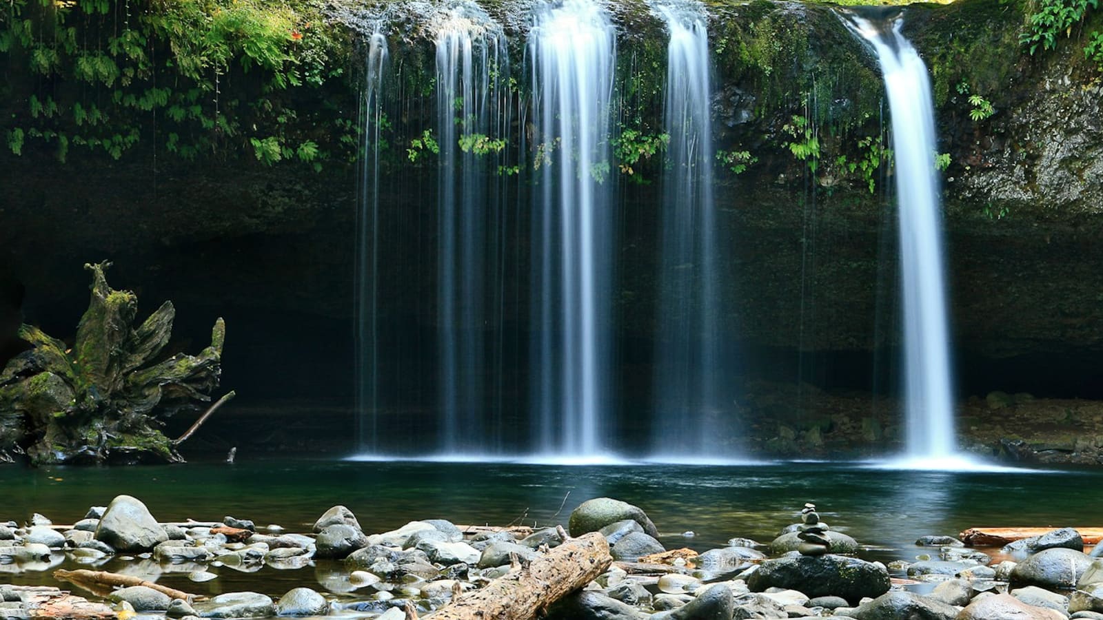 A waterfall pouring into a clear rocky pool in lush forest