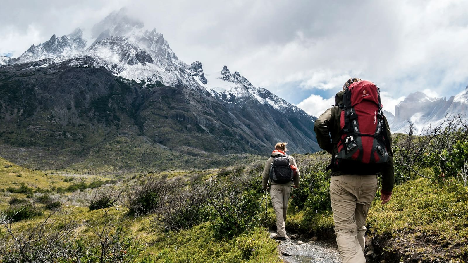A backpacker with a red pack and white cap on a wildflower trail below a snowy peak
