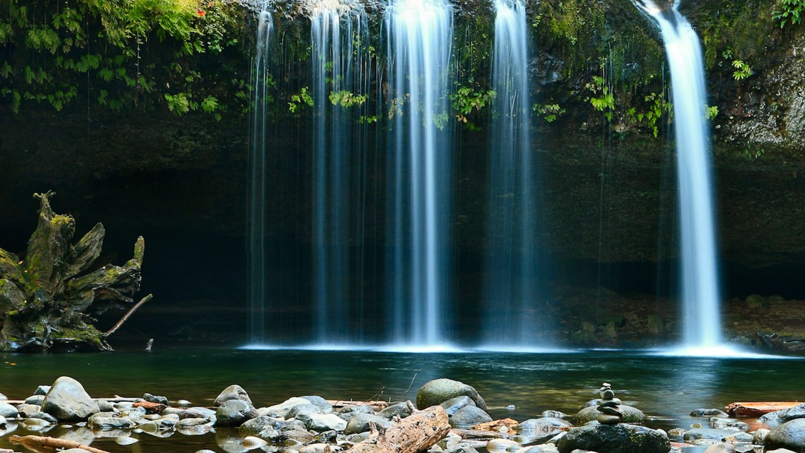 A waterfall pouring into a clear rocky pool in lush forest