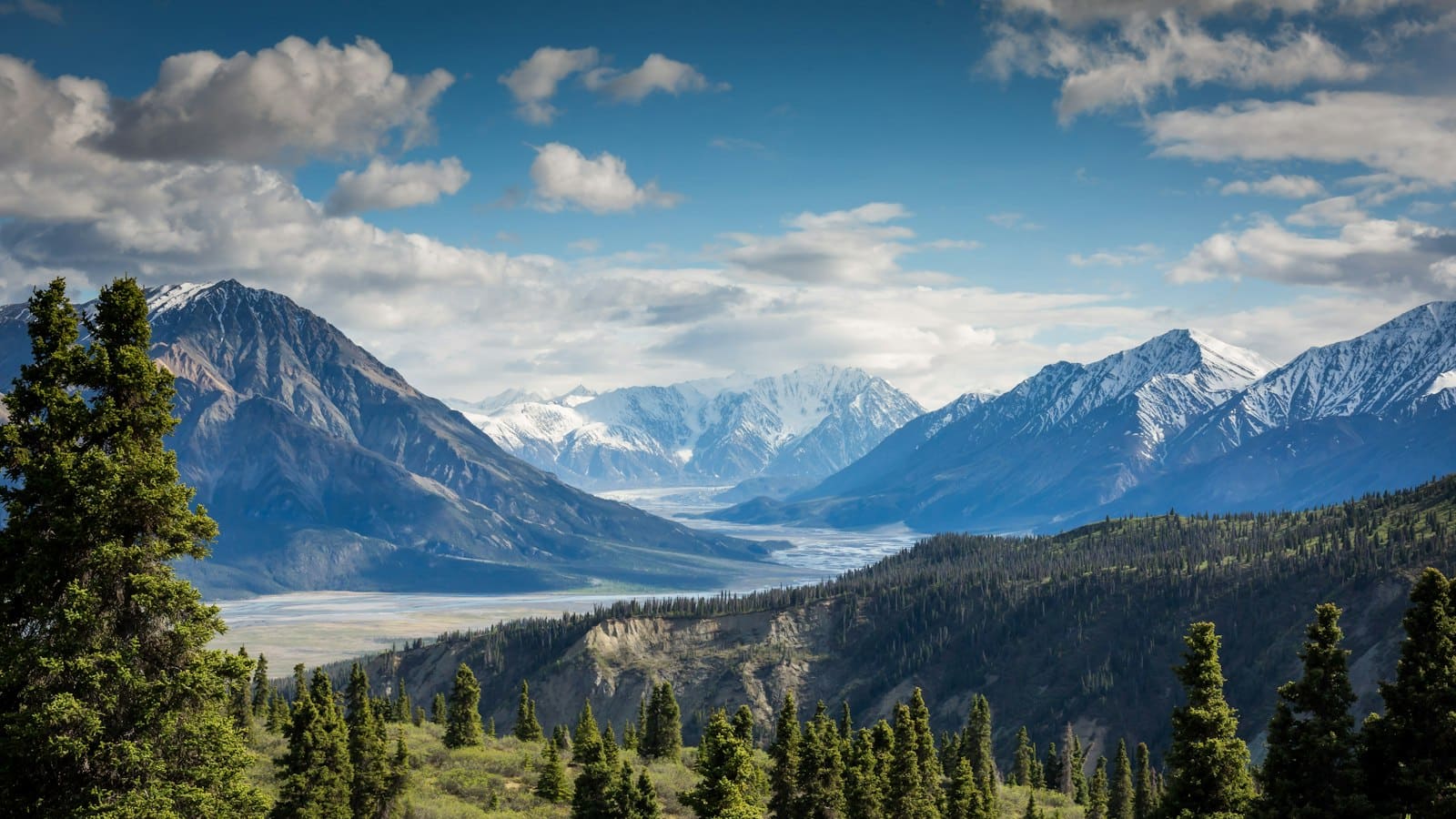 Broad glacial valley with a braided river, evergreen forest, and snow-capped peaks under towering clouds