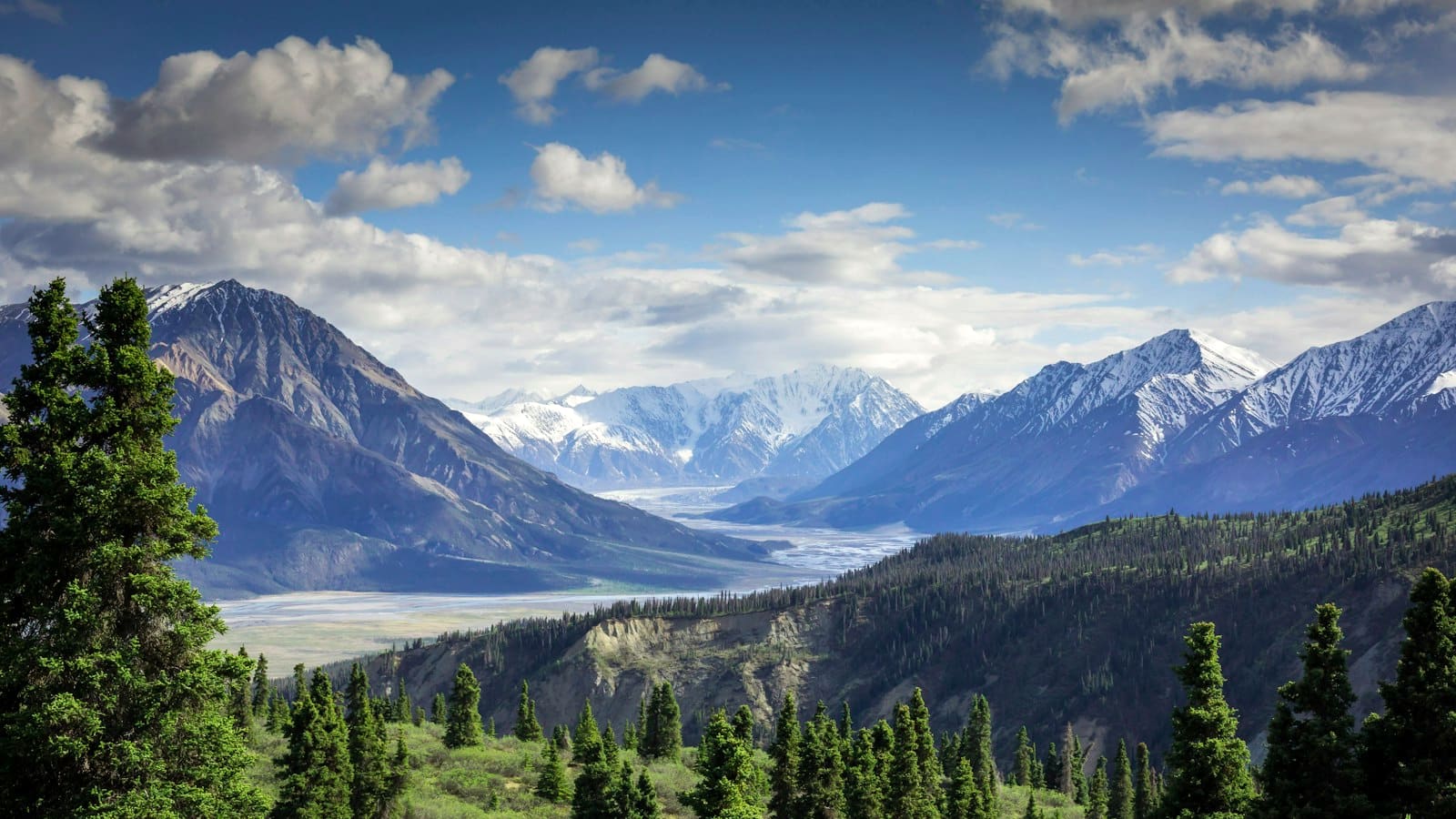 Broad glacial valley with a braided river, evergreen forest, and snow-capped peaks under towering clouds