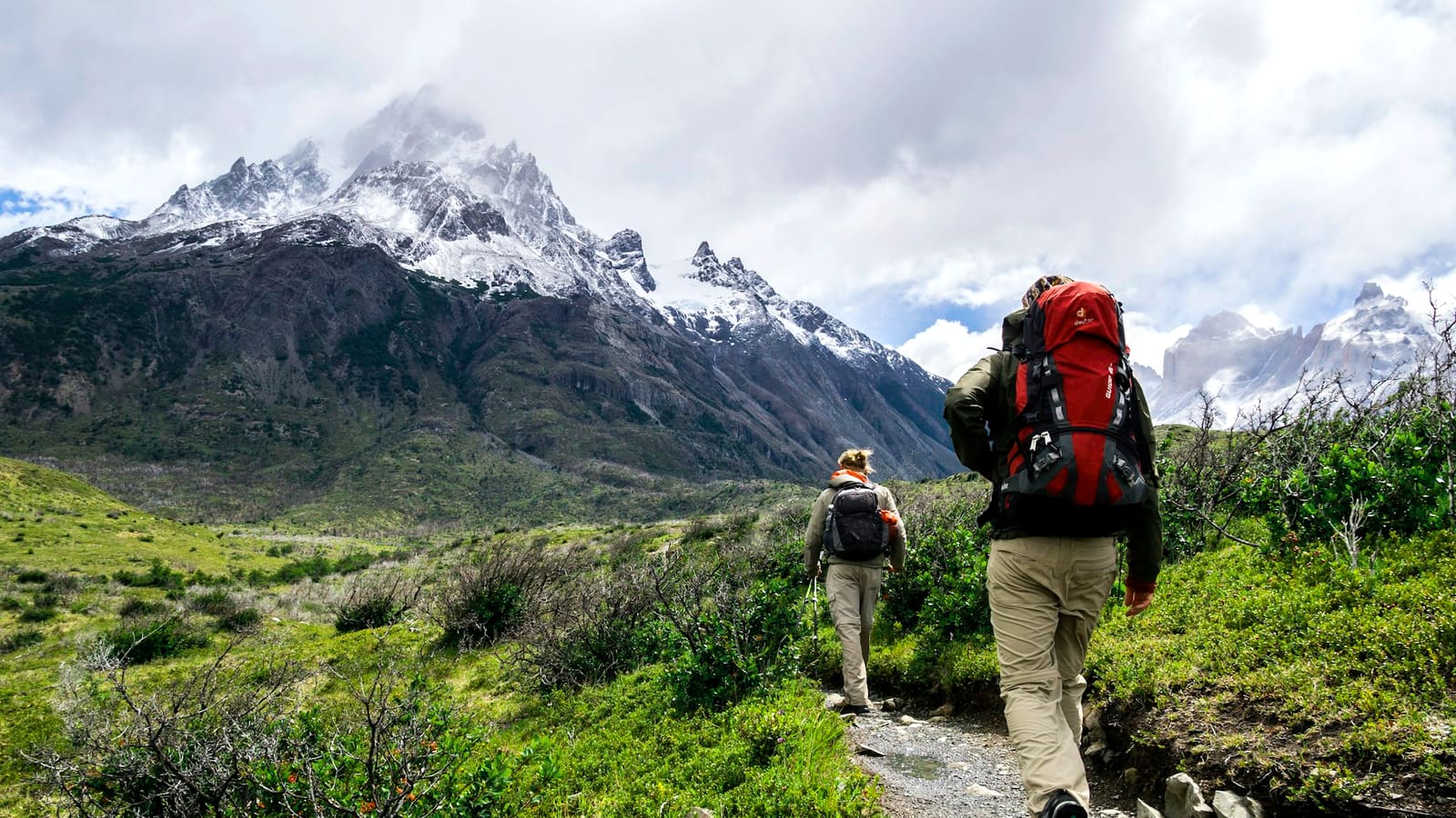 A backpacker with a red pack and white cap on a wildflower trail below a snowy peak