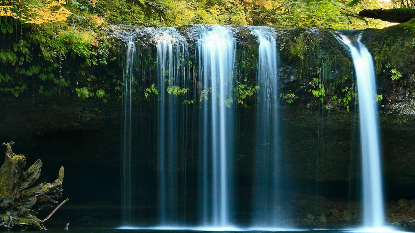 A waterfall pouring into a clear rocky pool in lush forest
