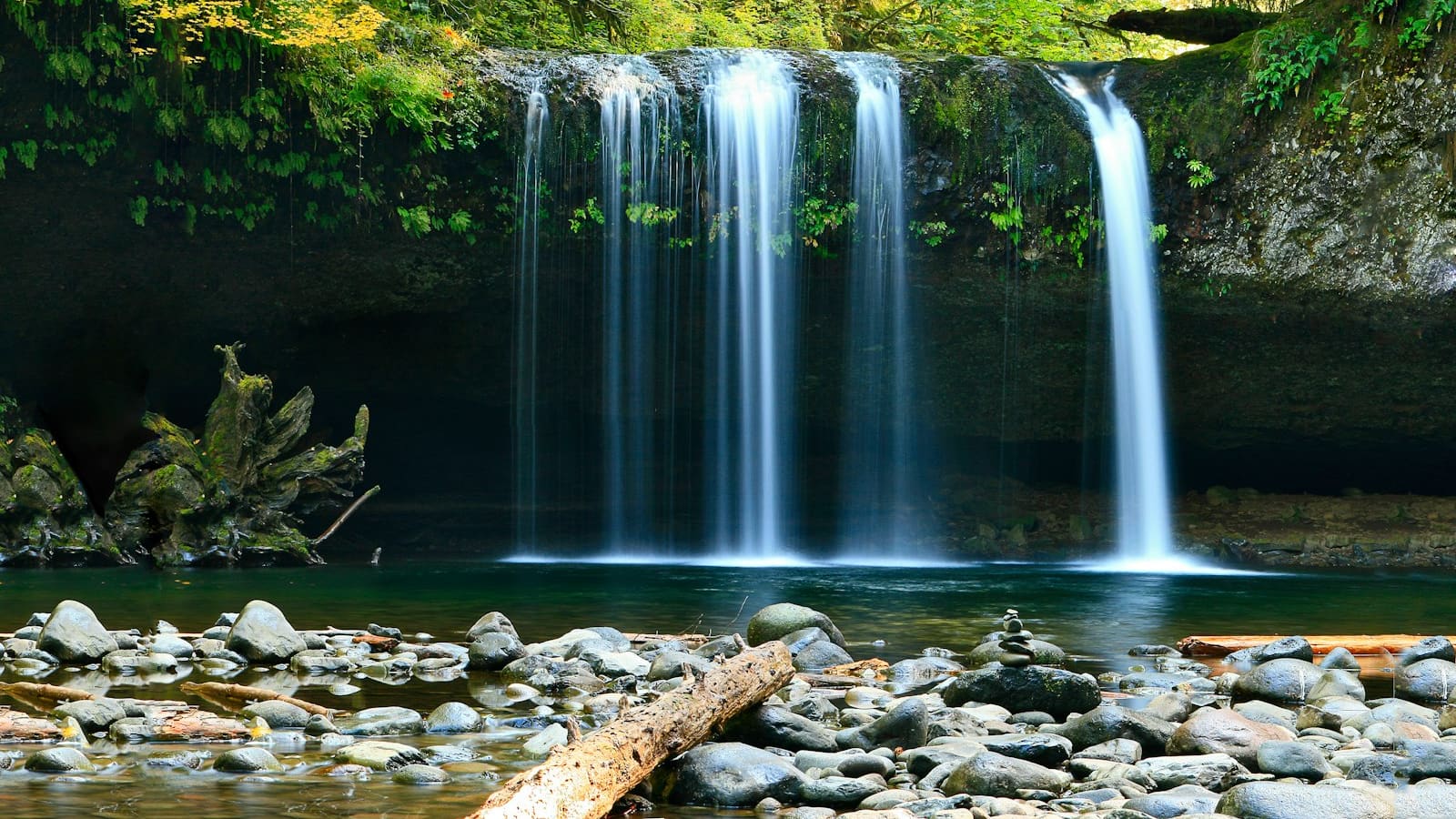 A waterfall pouring into a clear rocky pool in lush forest